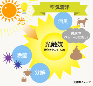 空気清浄機「MaSSC(マスク)」