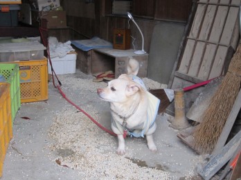 津久見市　Ｙ様